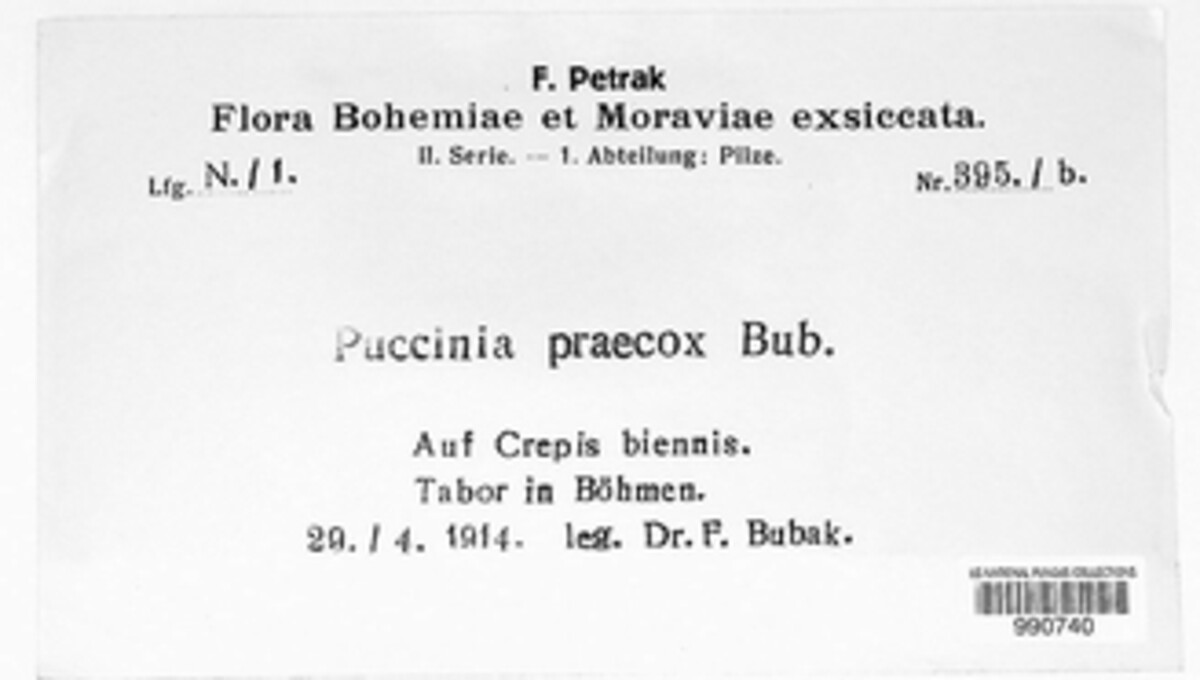 Puccinia praecox image